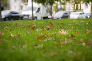 Осень 2025 года в Краснодаре (5)