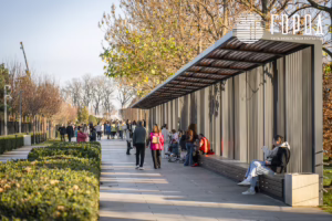 Парк Краснодар в ноябре 2025 года (1)