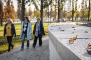 Парк Краснодар в ноябре 2025 года (2)