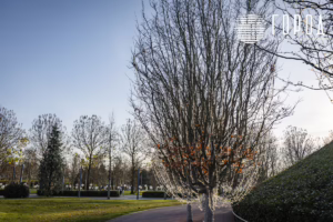 Парк Краснодар в ноябре 2025 года (3)