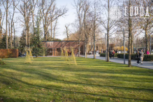 Парк Краснодар в ноябре 2025 года (5)