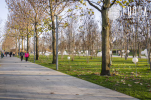 Парк Краснодар в ноябре 2025 года (6)