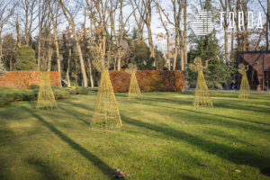 Парк Краснодар в ноябре 2025 года (8)