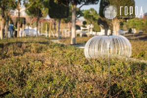 Парк Облаков в парке Галицкого Краснодара в ноябре 2025 года (2)