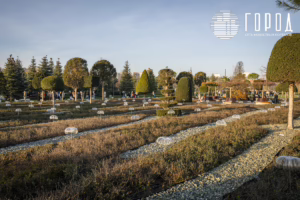 Парк Облаков в парке Галицкого Краснодара в ноябре 2025 года (3)