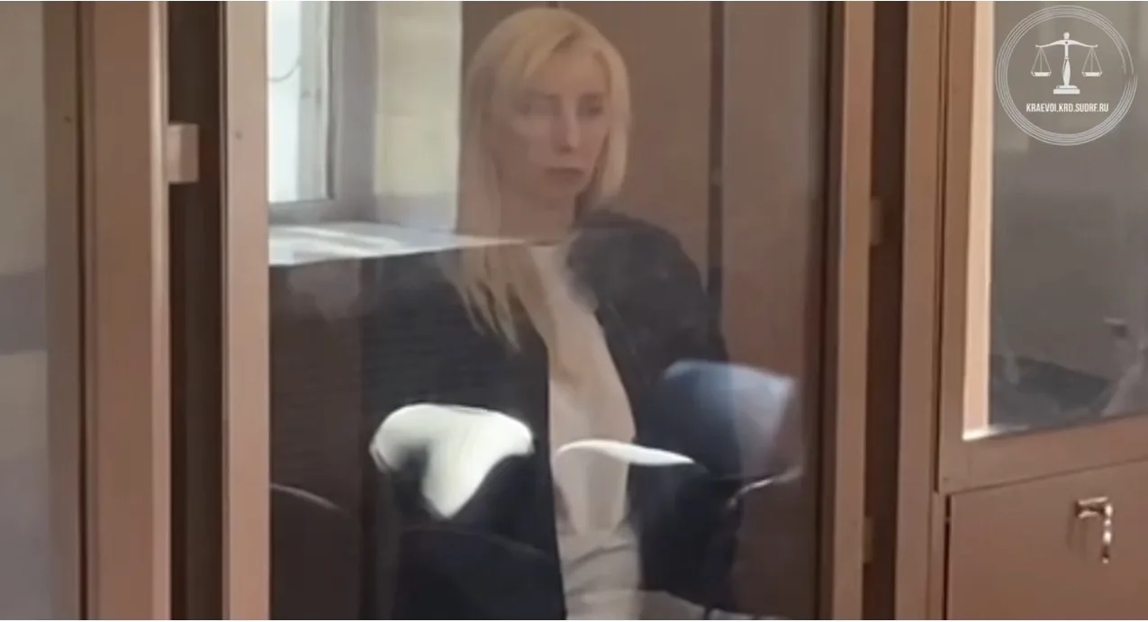 Анну Минькову поместили под домашний арест