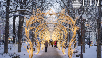 Светящиеся арки на новогодней улице Красной Краснодара