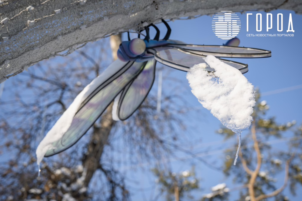 Стрекозы на улице Красной Краснодара к новому году от Галицкого