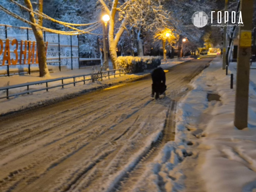 Зимняя сказка чиновников и коммунальный ад жителей: Краснодарский край завалило снегом