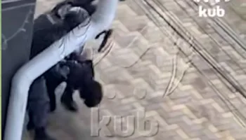 Стрельба у колледжа и техникума Анапы (3)