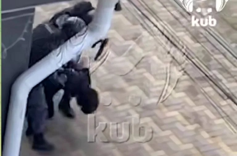 Студент расстрелял трёх человек в техникуме Анапы