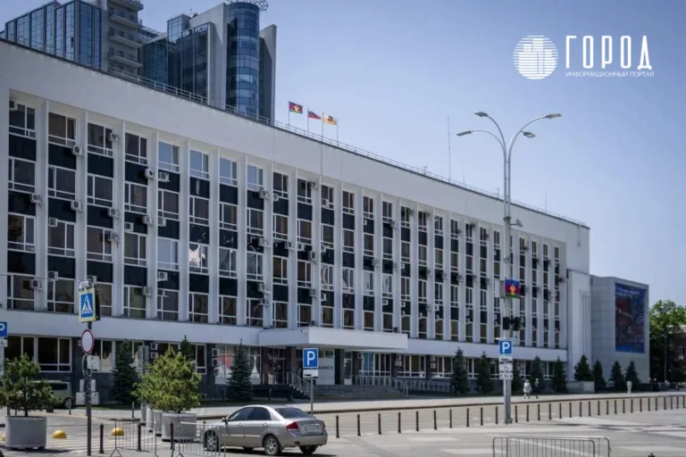 СК ищет мошенников в мэрии Краснодара за проваленное озеленение