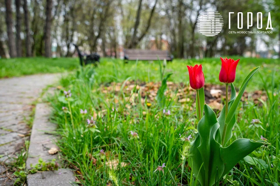 Честный взгляд на Краснодар: 5 веских причин не переезжать в столицу Кубани