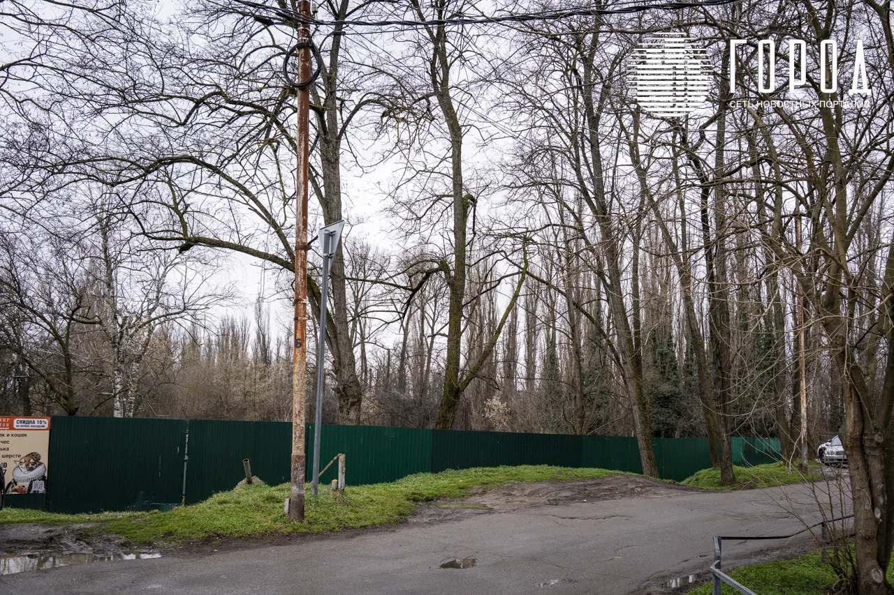 Открытый бассейн с рестораном на Затоне Краснодара (3)