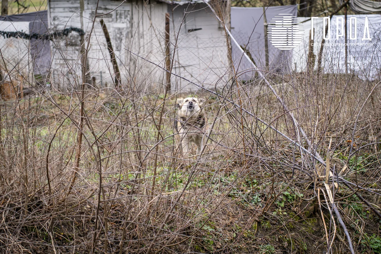 Открытый бассейн с рестораном на Затоне Краснодара (5)
