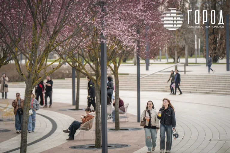 8 лет не ходила и пожалела: краснодарка о первой прогулке по парку Галицкого