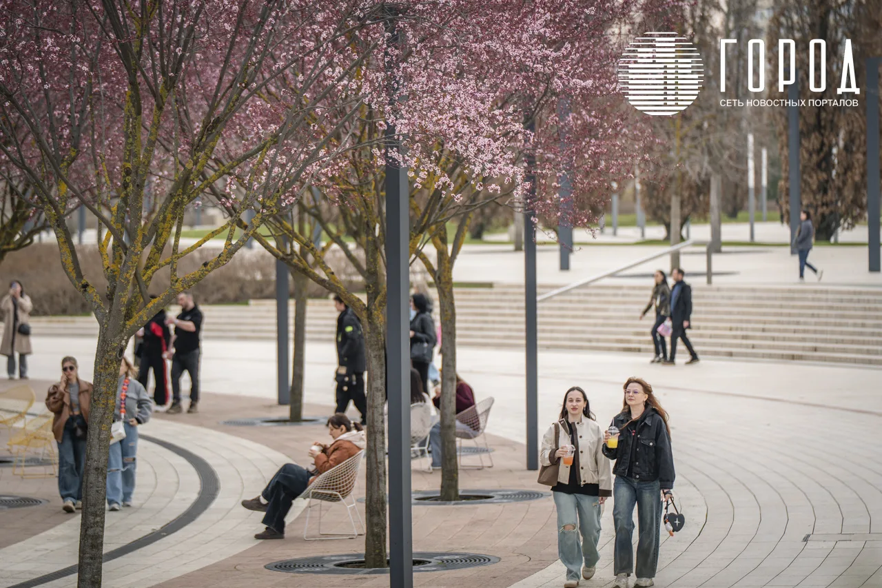 Сакуры в парке Галицкого Краснодара (10)