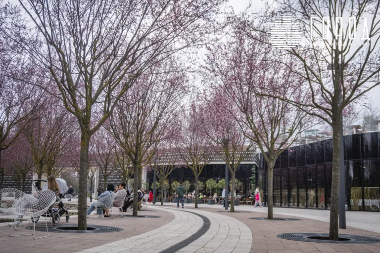 В парке Галицкого фотобезумие: цветут «сакуры», сливы Нигра – Мирабель