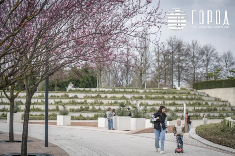Топ мест, куда сходить с детьми в Краснодаре на весенних каникулах
