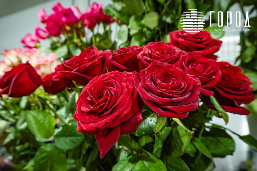 Сколько стоят цветы на 8 марта в Краснодаре (10)