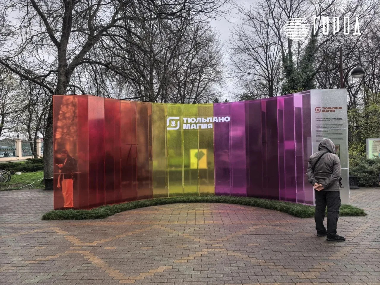 Ботанический сад Косенко Краснодара Тюльпаномагия 2026 (7)