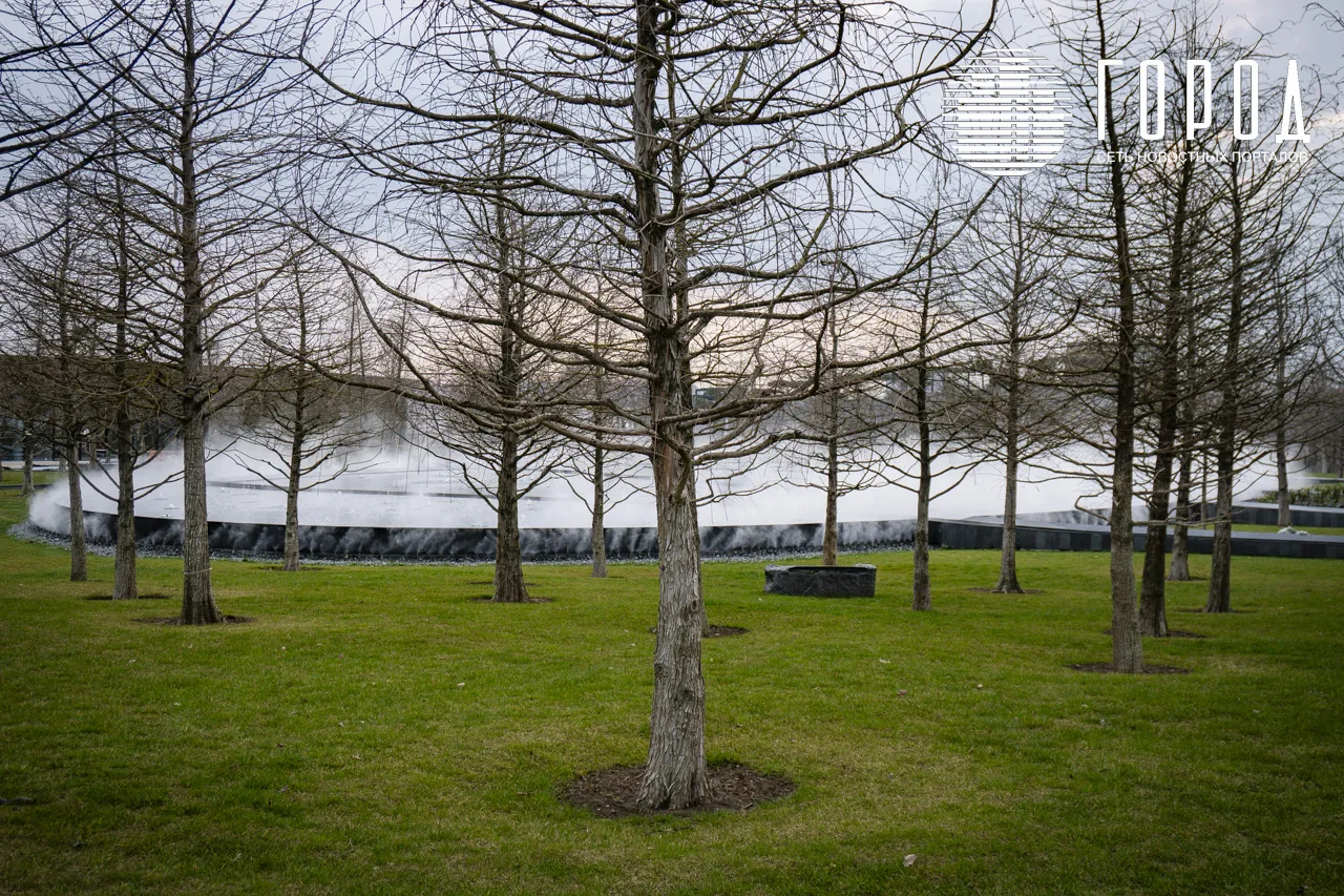 Лесное озеро парка Галицкого (2)