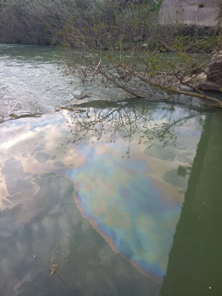 В Краснодарском крае реку Абин покрыло плёнкой нефтепродуктов