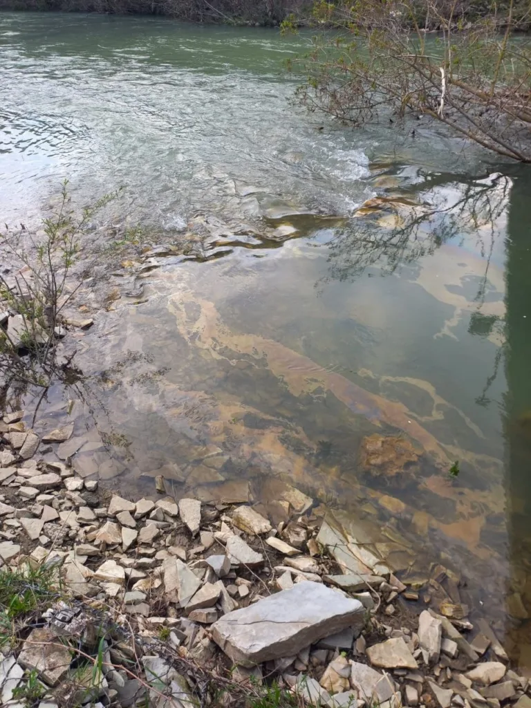 В Краснодарском крае реку Абин покрыло плёнкой нефтепродуктов