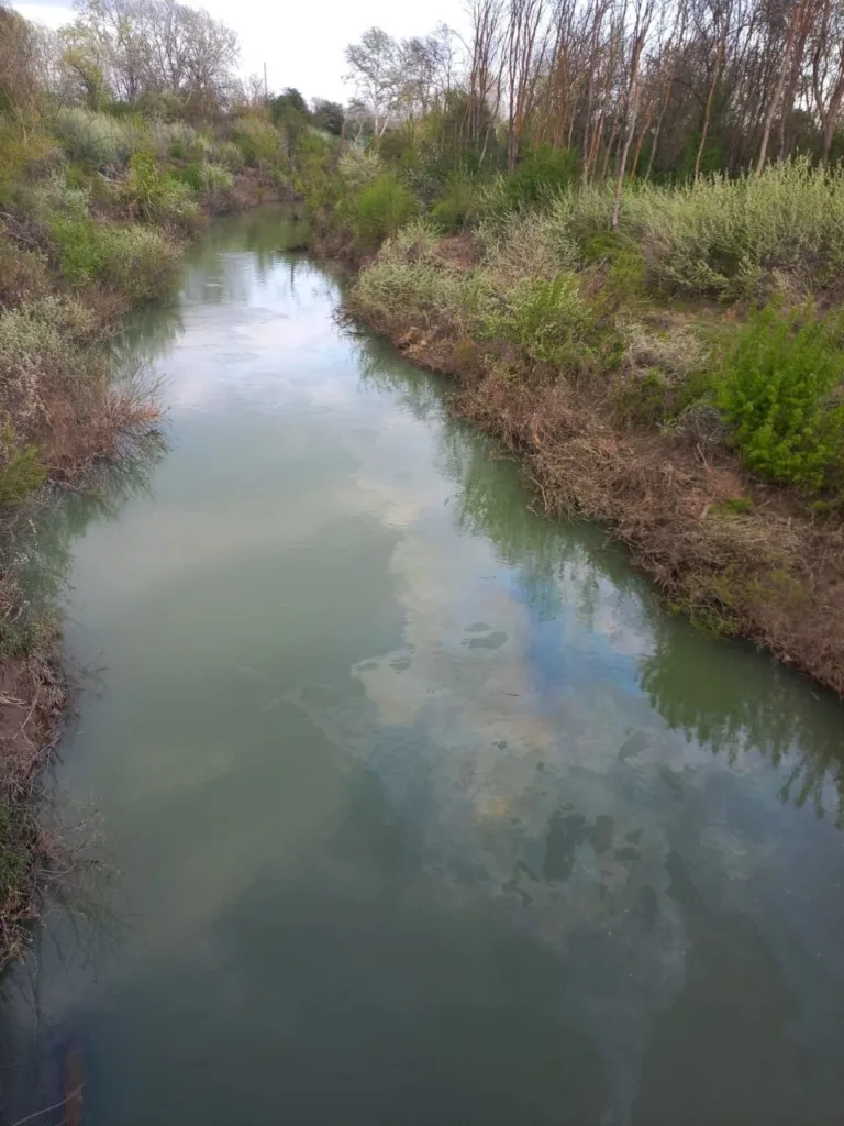 В Краснодарском крае реку Абин покрыло плёнкой нефтепродуктов