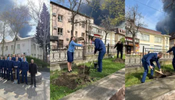 Экологическое бедствие в Туапсе