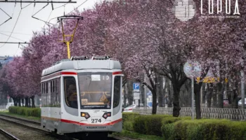 В Краснодаре объявлены публичные слушания по строительству трамвая в район Кирилла Россинского