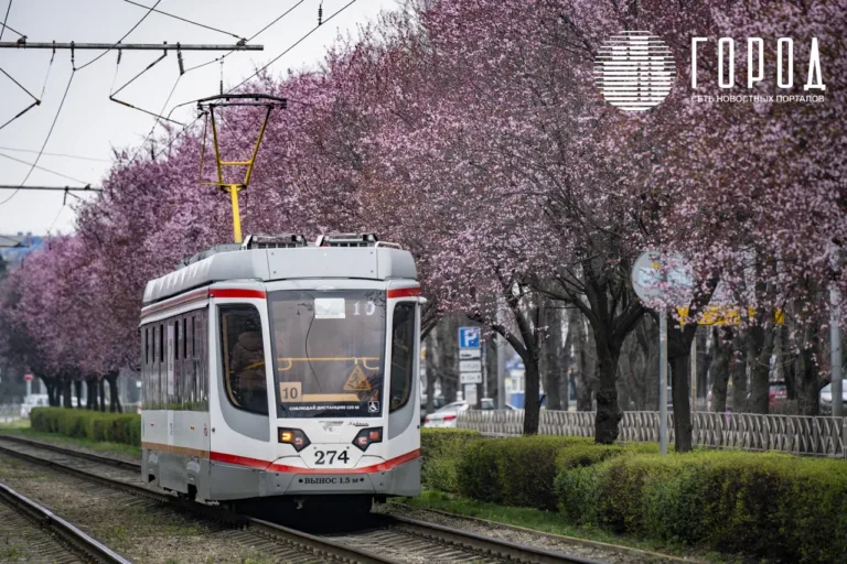 В Краснодаре объявили публичные обсуждения по строительству трамвая в район Кирилла Россинского