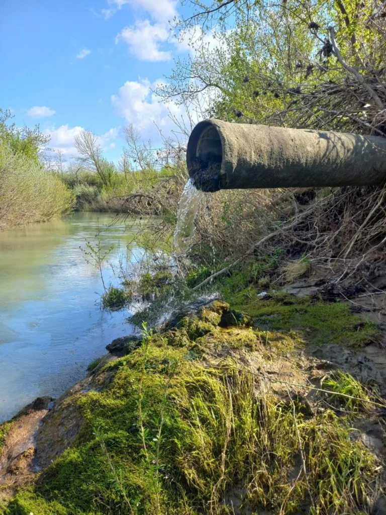 В реку Абин сливают нефтепродукты на границе Крымского и Абинского районов Краснодарского края 1