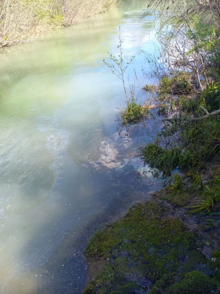 В реку Абин сливают нефтепродукты на границе Крымского и Абинского районов Краснодарского края 3