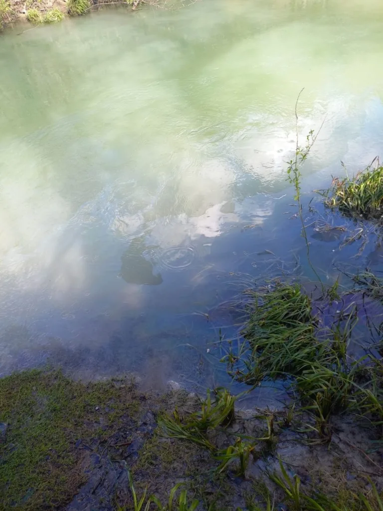 В реку Абин сливают нефтепродукты на границе Крымского и Абинского районов Краснодарского края 4