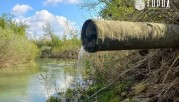 В реку Абин сливают нефтепродукты на границе Крымского и Абинского районов Краснодарского края 5