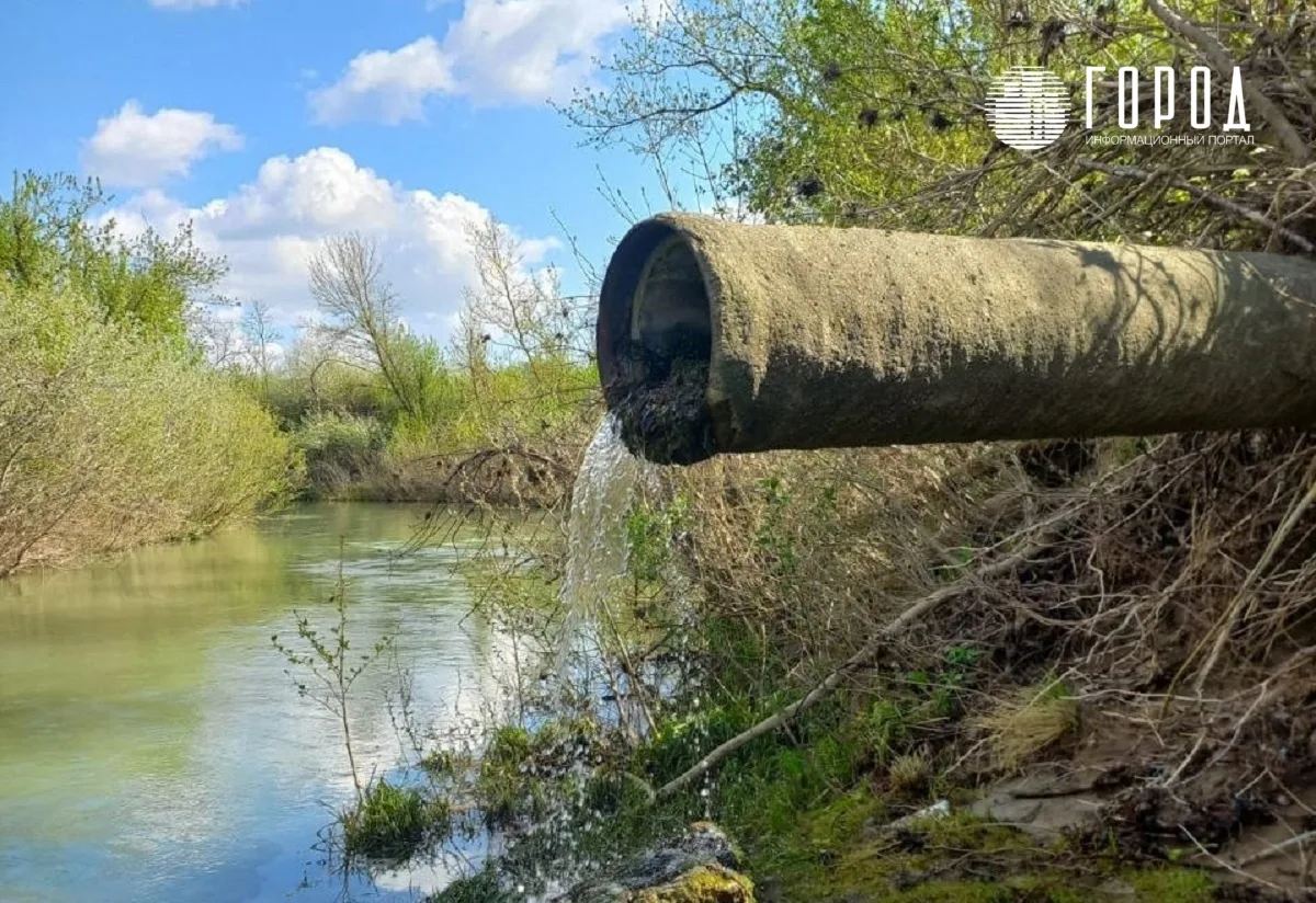 В реку Абин сливают нефтепродукты на границе Крымского и Абинского районов Краснодарского края 5