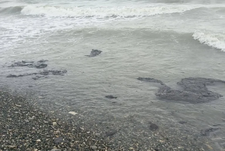 Спутниковые снимки показали загрязнения Чёрного моря нефтепродуктами у Джубги, Новомихайловского и Архипо-Осиповки