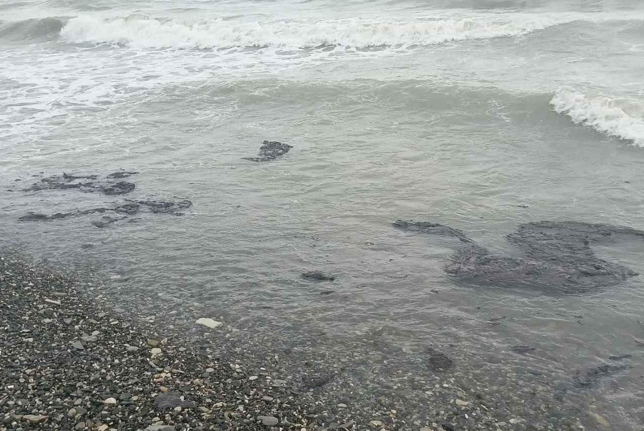 Загрязнения нефтепродуктами Чёрного моря в Краснодарском крае