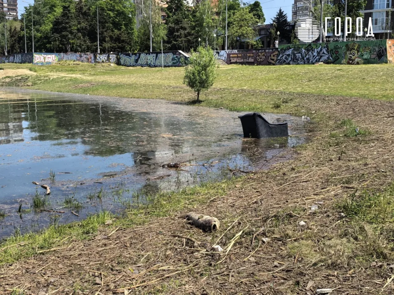 Гибель рыбы и лягушек на Затоне Краснодара 2