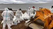 Уборка пляжей в Туапсе