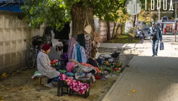 Падение доходов россиян и прогнозы по рынку труда в Краснодарском крае