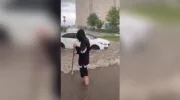 DOGMA в ЖК Самолет создала озера и делает выезд грозящий пробками