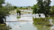 В Крымске подтопило полсотни участков