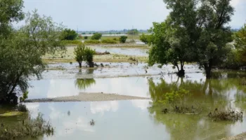 В Крымске подтопило полсотни участков