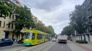 Аномальная жара в Европе