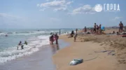 Температуры воды в Чёрном и Азовском морях сегодня