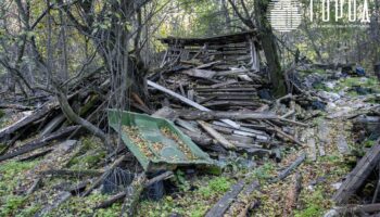 Особый противопожарный режим в Краснодаре 3
