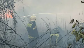 Пожар плавней в Анапе дошёл до домов 4