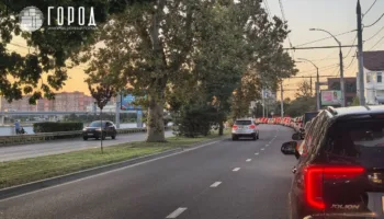 Цены на топливо в Краснодарском крае в середине августа 2026 года